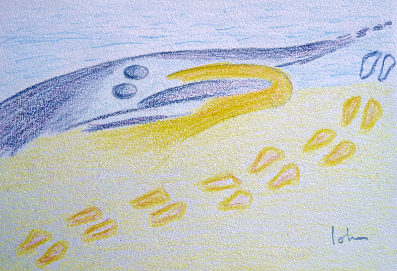 dessin-poesie