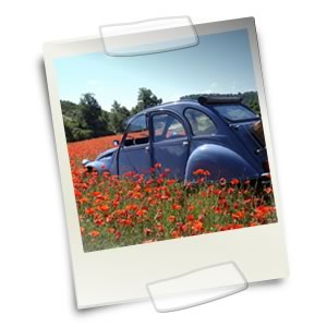 2cv